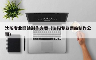 溧阳沈阳专业网站制作方案（沈阳专业网站制作公司）